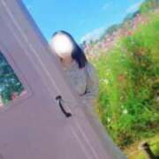 ヒメ日記 2026/08/28 08:18 投稿 美紀(みき) 渋谷蘭の会