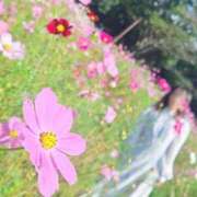 ヒメ日記 2026/08/31 12:35 投稿 美紀(みき) 渋谷蘭の会