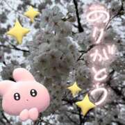 ねね ありがとう♡ チェックイン素人専門大人女子