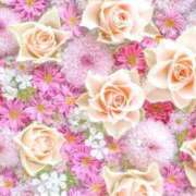 ヒメ日記 2025/03/01 21:49 投稿 ゆずは 逢って30秒で即尺