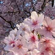 ヒメ日記 2025/04/04 22:42 投稿 ゆずは 逢って30秒で即尺