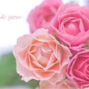 ヒメ日記 2025/09/28 20:14 投稿 ゆずは 逢って30秒で即尺