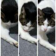 ヒメ日記 2025/04/03 20:22 投稿 あけみ 熟女の風俗最終章　越谷店