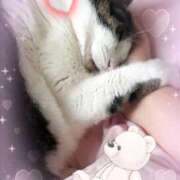 ヒメ日記 2025/04/19 16:12 投稿 あけみ 熟女の風俗最終章　越谷店