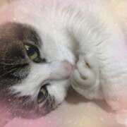 ヒメ日記 2025/05/07 16:15 投稿 あけみ 熟女の風俗最終章　越谷店