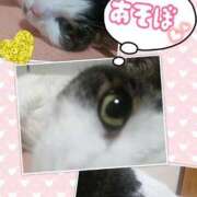 ヒメ日記 2025/09/26 14:22 投稿 あけみ 熟女の風俗最終章　越谷店