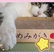 ヒメ日記 2025/10/15 14:32 投稿 あけみ 熟女の風俗最終章　越谷店