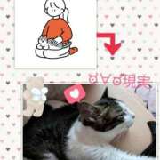 ヒメ日記 2025/10/26 12:23 投稿 あけみ 熟女の風俗最終章　越谷店