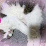 ヒメ日記 2025/11/28 19:50 投稿 あけみ 熟女の風俗最終章　越谷店