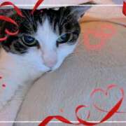 ヒメ日記 2026/01/18 12:22 投稿 あけみ 熟女の風俗最終章　越谷店