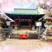 ヒメ日記 2025/04/11 13:22 投稿 まお 熟女の風俗最終章　越谷店