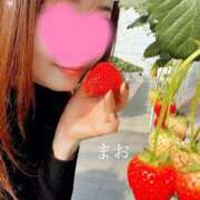 ヒメ日記 2026/02/06 08:22 投稿 まお 熟女の風俗最終章　越谷店