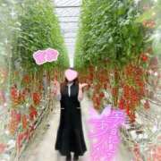ヒメ日記 2026/04/03 07:22 投稿 まお 熟女の風俗最終章　越谷店