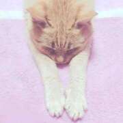 ヒメ日記 2025/01/18 09:05 投稿 りな 熟女の風俗最終章　越谷店