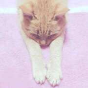 ヒメ日記 2025/10/27 08:35 投稿 りな 熟女の風俗最終章　越谷店