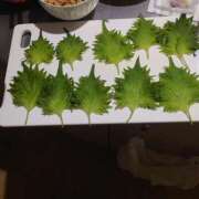 ヒメ日記 2025/02/05 10:39 投稿 せいこ 熟女の風俗最終章　越谷店