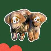 ヒメ日記 2025/07/04 11:48 投稿 あきこ 熟女の風俗最終章　越谷店