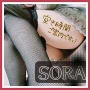 ヒメ日記 2025/09/16 13:12 投稿 そら 熟女の風俗最終章　越谷店