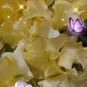 ヒメ日記 2025/02/09 06:02 投稿 しおん 熟女の風俗最終章　越谷店