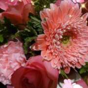 ヒメ日記 2025/02/09 08:14 投稿 しおん 熟女の風俗最終章　越谷店