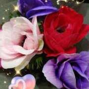 ヒメ日記 2025/02/12 06:42 投稿 しおん 熟女の風俗最終章　越谷店