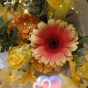 ヒメ日記 2025/02/14 05:32 投稿 しおん 熟女の風俗最終章　越谷店