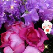 ヒメ日記 2025/02/19 05:52 投稿 しおん 熟女の風俗最終章　越谷店