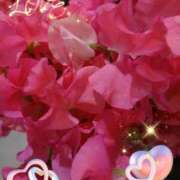 ヒメ日記 2025/02/25 05:52 投稿 しおん 熟女の風俗最終章　越谷店