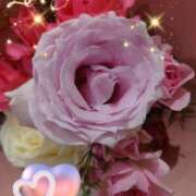 ヒメ日記 2025/02/27 06:12 投稿 しおん 熟女の風俗最終章　越谷店