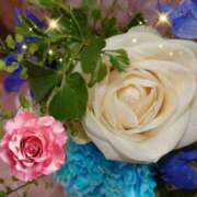 ヒメ日記 2025/06/17 06:42 投稿 しおん 熟女の風俗最終章　越谷店