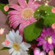 ヒメ日記 2025/06/17 07:32 投稿 しおん 熟女の風俗最終章　越谷店