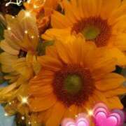 ヒメ日記 2025/07/08 07:27 投稿 しおん 熟女の風俗最終章　越谷店