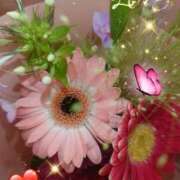 ヒメ日記 2025/07/27 06:12 投稿 しおん 熟女の風俗最終章　越谷店