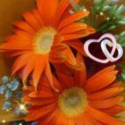 ヒメ日記 2025/07/29 05:42 投稿 しおん 熟女の風俗最終章　越谷店