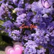 ヒメ日記 2025/09/20 05:19 投稿 しおん 熟女の風俗最終章　越谷店