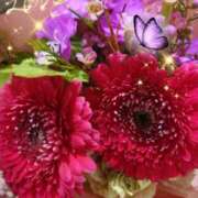 ヒメ日記 2025/09/21 06:46 投稿 しおん 熟女の風俗最終章　越谷店