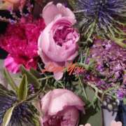 ヒメ日記 2025/11/18 07:12 投稿 しおん 熟女の風俗最終章　越谷店