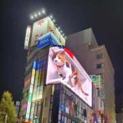 ヒメ日記 2024/12/29 17:42 投稿 しょう 熟女の風俗最終章　越谷店