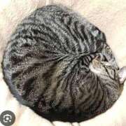 ヒメ日記 2025/02/07 23:22 投稿 しょう 熟女の風俗最終章　越谷店