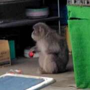 ヒメ日記 2025/03/05 19:41 投稿 しょう 熟女の風俗最終章　越谷店