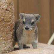 ヒメ日記 2025/03/06 15:22 投稿 しょう 熟女の風俗最終章　越谷店