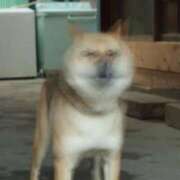 ヒメ日記 2025/09/07 13:22 投稿 しょう 熟女の風俗最終章　越谷店