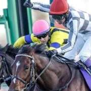 ヒメ日記 2025/11/16 16:52 投稿 しょう 熟女の風俗最終章　越谷店