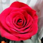 しょう 今日も 熟女の風俗最終章　越谷店