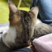 しょう 溺愛。 熟女の風俗最終章　越谷店