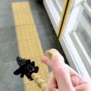 しょう 雨だ。 熟女の風俗最終章　越谷店