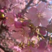 ヒメ日記 2025/03/11 00:58 投稿 れいら 熟女の風俗最終章　越谷店