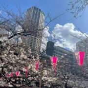 ヒメ日記 2025/04/02 23:55 投稿 ふゆ スピード難波店