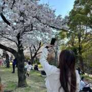 ヒメ日記 2025/04/19 13:45 投稿 ふゆ スピード難波店