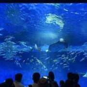 ヒメ日記 2025/07/26 15:45 投稿 ふゆ スピード難波店